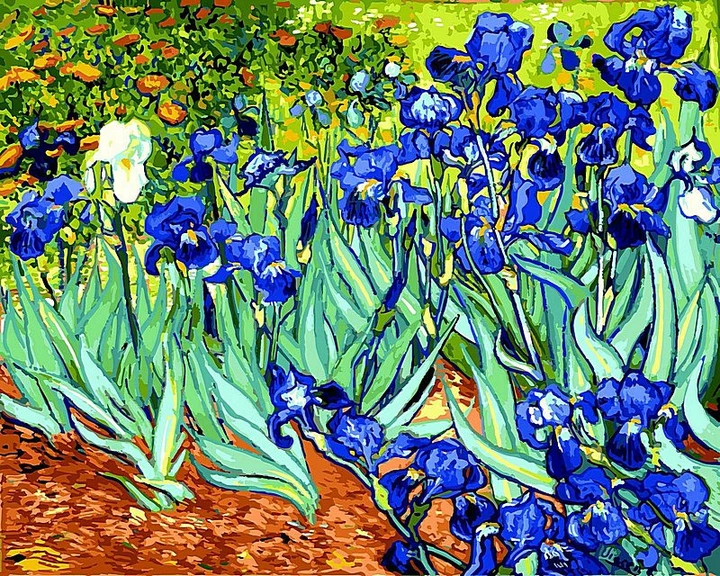 Irises